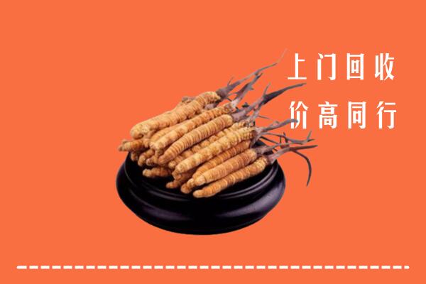 高价求购：喀喇沁回收散虫草