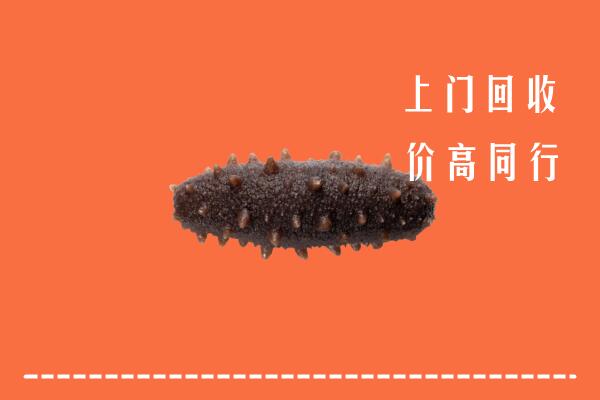 高价求购：喀喇沁回收海参