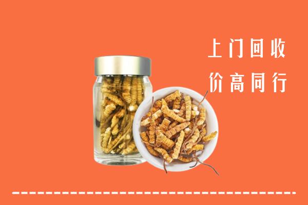 喀喇沁回收冬虫夏草